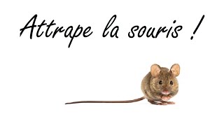 Jeu vidéo pour les chats  Attrape la souris [upl. by Bethina47]