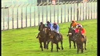 1989 Perrier Jouet Novices Chase [upl. by Ainslee]