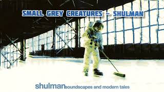 Shulman  Small Grey Creatures  Soundscapes and Modern Tales [upl. by Latreece]