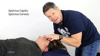 How To Massage  Splenius Capitis and Splenius Cervicis Muscles [upl. by Kylynn]