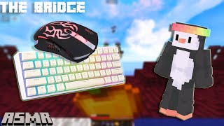 The Bridge ASMR Minecraft 😼🙀 [upl. by Sitnalta]