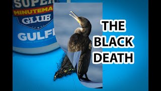 Fly Tying The Black Death Cormorant [upl. by Allys]