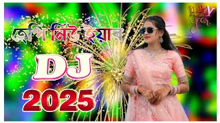 ২০২৫ সাল কাঁপানো ডিজে গান  Happy new year 2025 special dj gan  New year special dj song  dj gan [upl. by Ravel679]