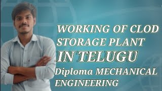 WORKING OF COLD STORAGE PLANT IN TELUGU DIPLOMA MECHANICAL ENGINEERING [upl. by Clarie382]