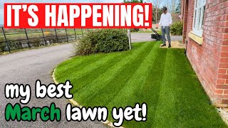 Why does this LAWN look so GOOD The EARLY spring lawn care is paying off [upl. by Eerrehc]