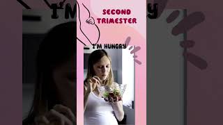 first trimester vs second trimester differences in first and second trimester new in 2nd trimester [upl. by Robbi]