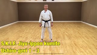 SKIF Jiyuippon kumite Ushirogeri 13 [upl. by Derby454]