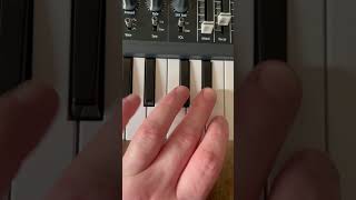 Rammstein  Wollt ihr das Bett in Flammen sehen SYNTH SOUND  Arturia MicroBrute [upl. by Atinaujnas]