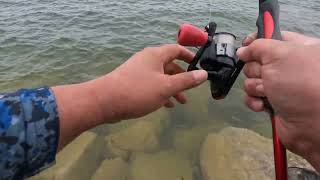 Catch Rainbow Trout and White Fish Lake Diefenbaker [upl. by Bhayani]