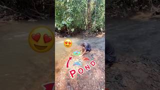 Nadi pe bnya natural pond😍bhot sare shrimps🦞crabs🦀fish🐠🐡release kyeshortsfeedshortsminivlog [upl. by Nawaj401]