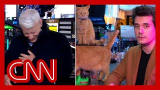 Anderson Cooper completely loses it as John Mayer dials in from a cat bar [upl. by Aruat]