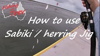 How to use a Sabiki Rig  Herring Jig [upl. by Nahgen]