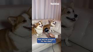 Backstairs Billy  Interview with the Queen Mother’s corgis [upl. by Gearard]