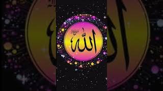 Jashne amadeRasool allah hi Allah naat sharif shorts viralvideo trending [upl. by Otsirave682]