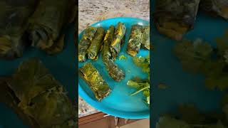 શું તમે આવા પાતરા અને ઈદડા ખાધાPatara and idadada🇮🇳🚩🇨🇦food indianfood [upl. by Nareik]