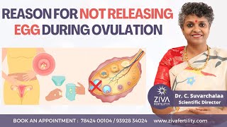 Ovulation Problems  Anovulation  Fertility Tips  Dr C Suvarchalaa  ZIVA Fertilityy [upl. by Raine]