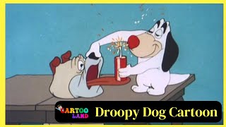 Droopy Dog Cartoon  Full Episodes  By Cartooland cartoon funny [upl. by Aynas746]