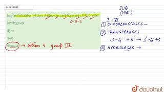 Enzymes that catalyse hydrolysisof ester ether peptide glycosidic CC  Chalide  12  T [upl. by Airbma]