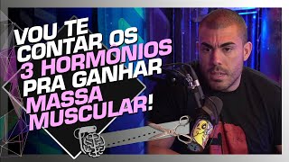 A GRANDE COMPLEXIDADE DOS HORMÔNIOS  LEANDRO TWIN [upl. by Kelila]