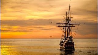 Pirate Ship Ambience  Сreaks of Wood Sounds of Seagulls And Waves  Background For Sleep  8 Hours [upl. by Jacintha]