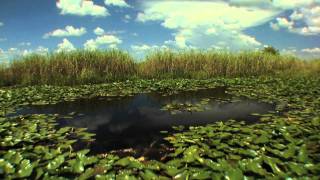 Big Cypress Swamp Western Everglades  Part 1 of 4 [upl. by Pacificia142]