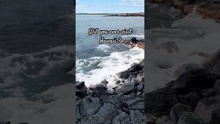 Hawaii Vacation Videos 2024 [upl. by Horvitz814]