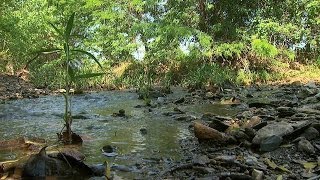 Natural Stream Restoration Streams in Nature Part I [upl. by Ennairod]