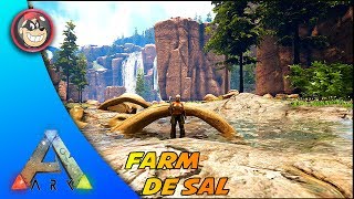 🔵 ARK SURVIVAL EVOLVED  RAGNAROK ONDE ENCONTRAR SAL PARA CONSERVAPTBR [upl. by Sanders]