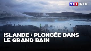 Islande  plongée dans le grand bain [upl. by Notfilc]