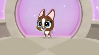 Littlest pet shop a world of our own copy 🐱 copy 🐕 copy iugna [upl. by Docila]