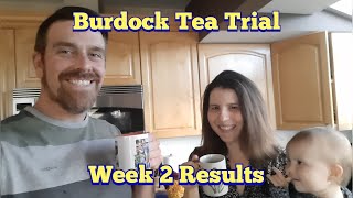 Burdock Tea Trial Week 2 Results [upl. by Odrautse]