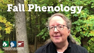 Fall Phenology [upl. by Bessy646]