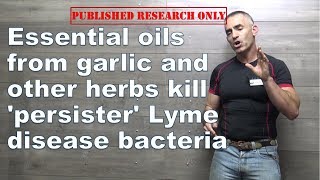 Essential oils from garlic and other herbs kill persister Lyme disease bacteria [upl. by Atsirt663]