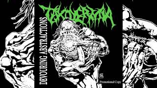 TAXIDERMIA  Devouring Abstractions Full EP 2024 [upl. by Enelram]