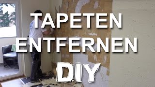 TAPETEN ENTFERNEN  So wird es richtig gemacht  DIY ANLEITUNG [upl. by Ximenes829]