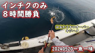 【インチク根魚最釣伝説】【Japanese traditional fishing gear quotINCHIKUquot】渋くても、この釣果。インチク使えば常識が変わる。 [upl. by Noevad]