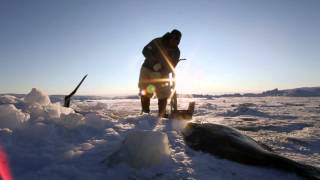 Inuit Culture in Greenland [upl. by Cowie]