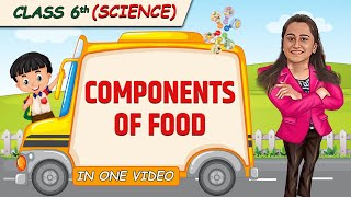 Components of Food  Full Chapter in 1 Video  Class 6th Science  Champs Batch [upl. by Taran]