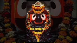 Neel madhav ka rahasya kya hai kaha chale gaye Neel madhav jaggannath [upl. by Dacey911]