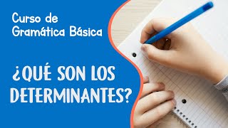 Determinantes en español y sus tipos  Curso de Gramática Básica [upl. by Trace173]