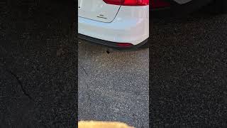 2104 Ford Focus With An Unequal Length Header Exhaust Sound [upl. by Atinot966]