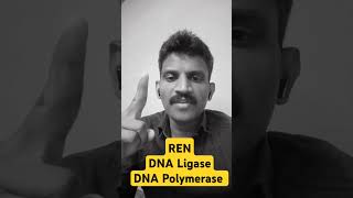 Restriction endonuclease DNA Ligase and DNA Polymerase enzymes uses [upl. by Straub]