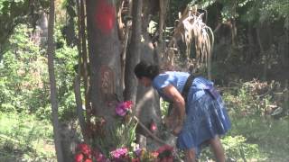 La virgen De Guadalupe Se Apareció En Un Árbol entre El Salvador y Guatemala [upl. by Eciruam]