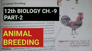 Class 12 biology chapter 9part 2Animal breedingStudy with Farru [upl. by Riamo60]