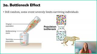 Population Genetics When Darwin Met Mendel  Crash Course Biology 18 [upl. by Lallage]