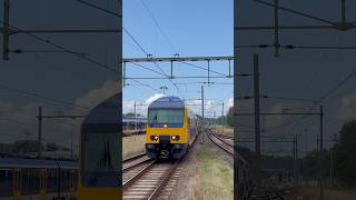 DDZ Komt aan Te Station Vlissingen Treinspottersem123 fypシ゚viral treinleven trainspotting [upl. by Ellehsar]