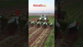 Best Agreecalture Farming Equipment 👌shorts farming agreeculture trending viralvideo farmer 👌👍 [upl. by Nithsa]