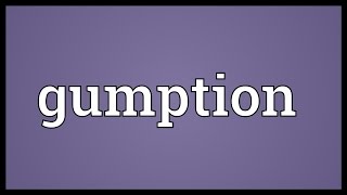 Gumption Meaning [upl. by Kaasi]