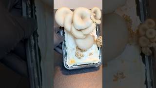 Growing Oyster Mushrooms with Garlic Stalks oystermushroom fungi mushroom foodwaste [upl. by Anielram855]