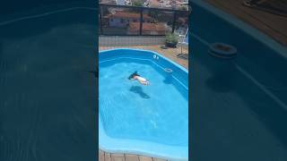 Clarinha jogou bebê reborn dentro da piscina 😱 [upl. by Anpas]